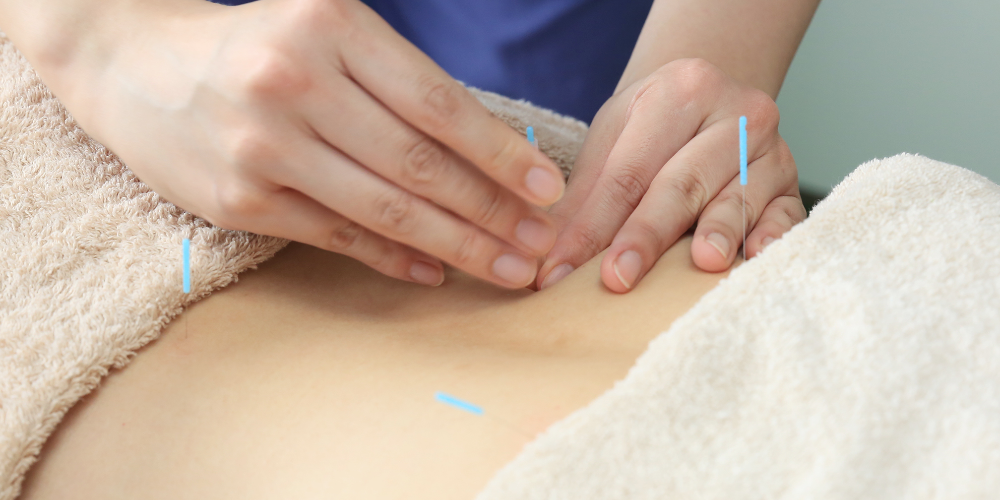 癒やしの空間 恵比寿本店