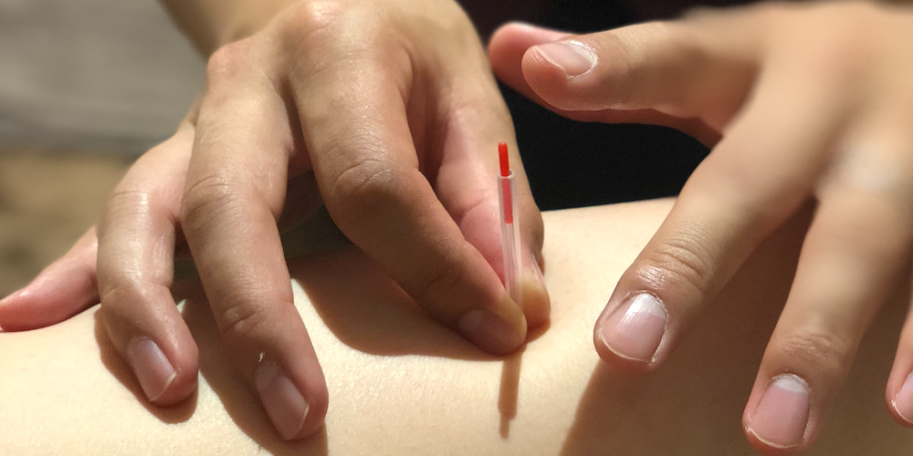 癒やしの空間 恵比寿本店