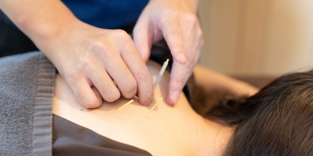 癒やしの空間 恵比寿本店