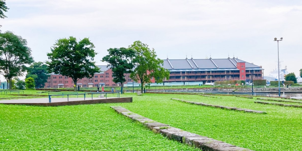 癒やしの空間 恵比寿本店