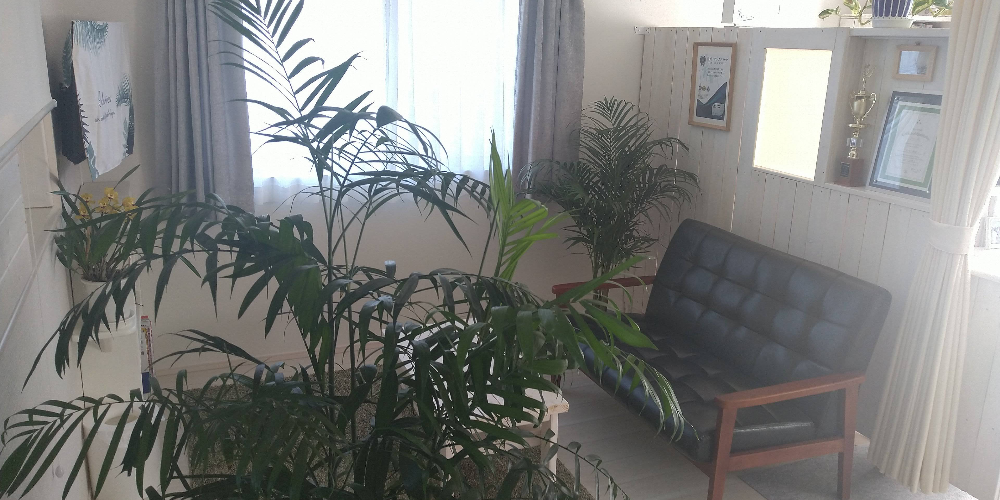 癒やしの空間 恵比寿本店