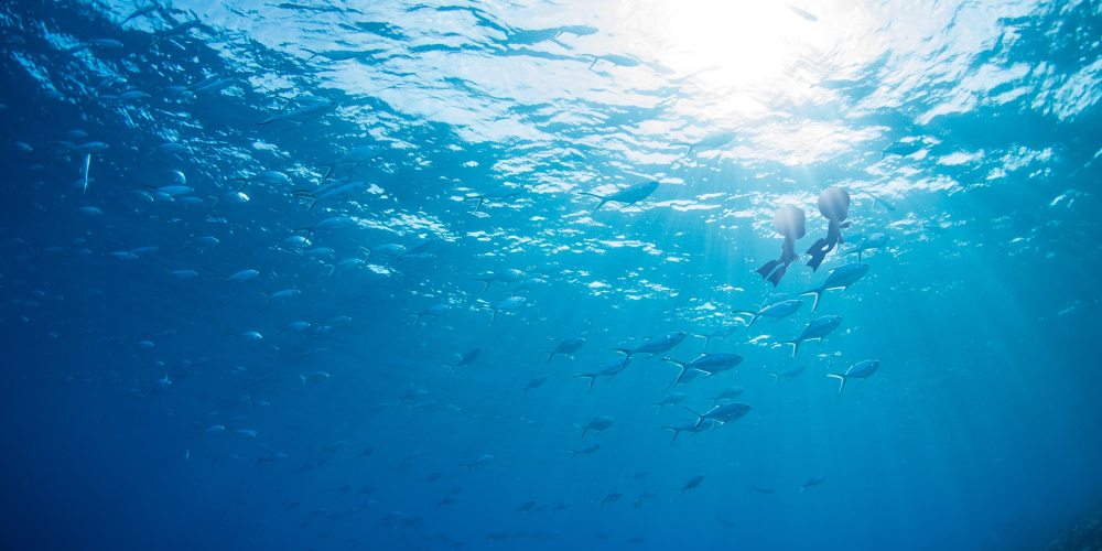 癒やしの空間 恵比寿本店