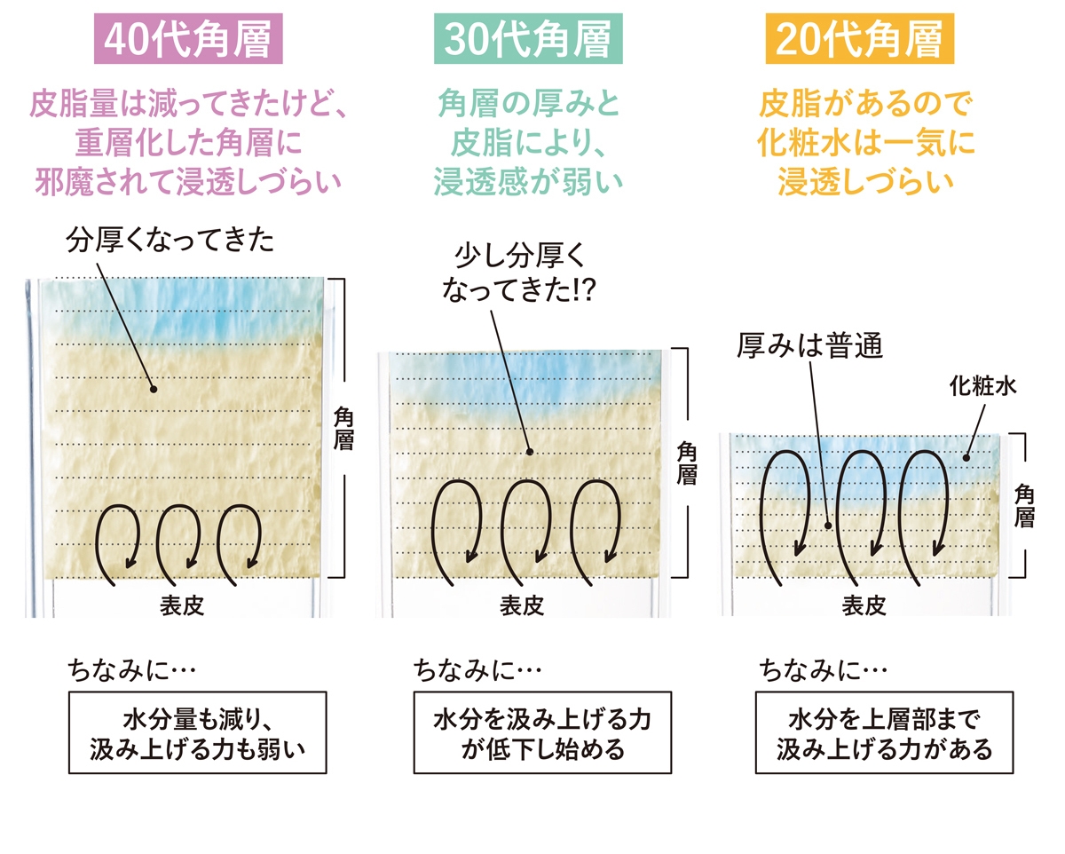 20代、30代、40代の角層の説明