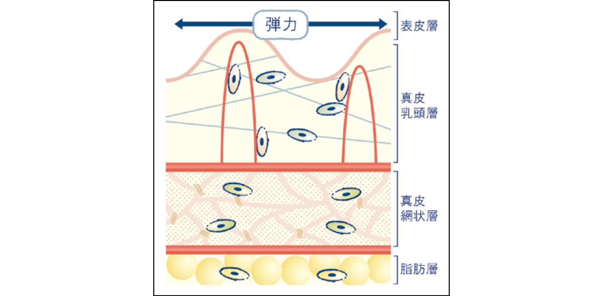 マキア　エイジングケア　おすすめ　オバジX　バイタライズ リフトクリーム　血管再生