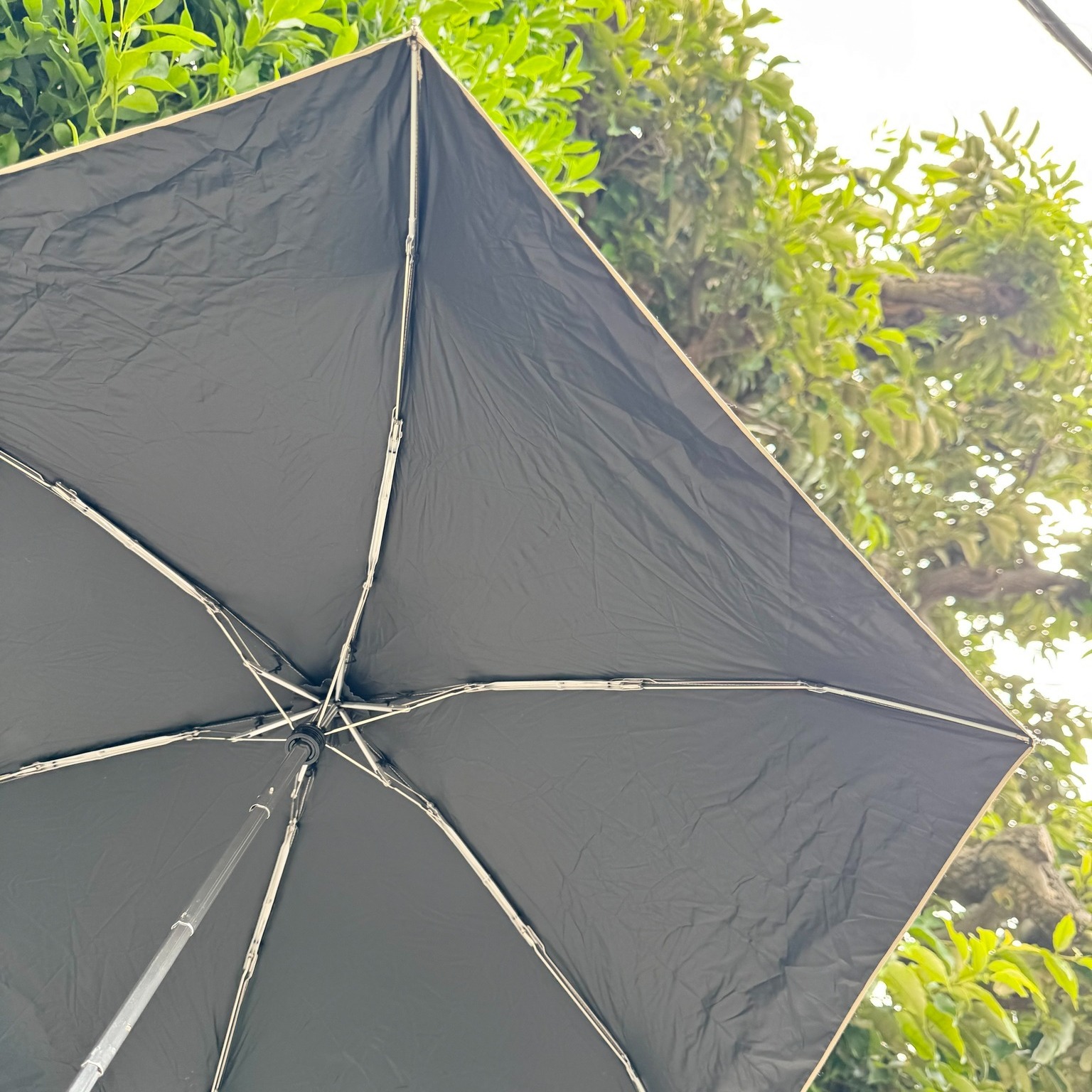 エディターの推し！ファミマの日傘 PhotoGallery_1_1