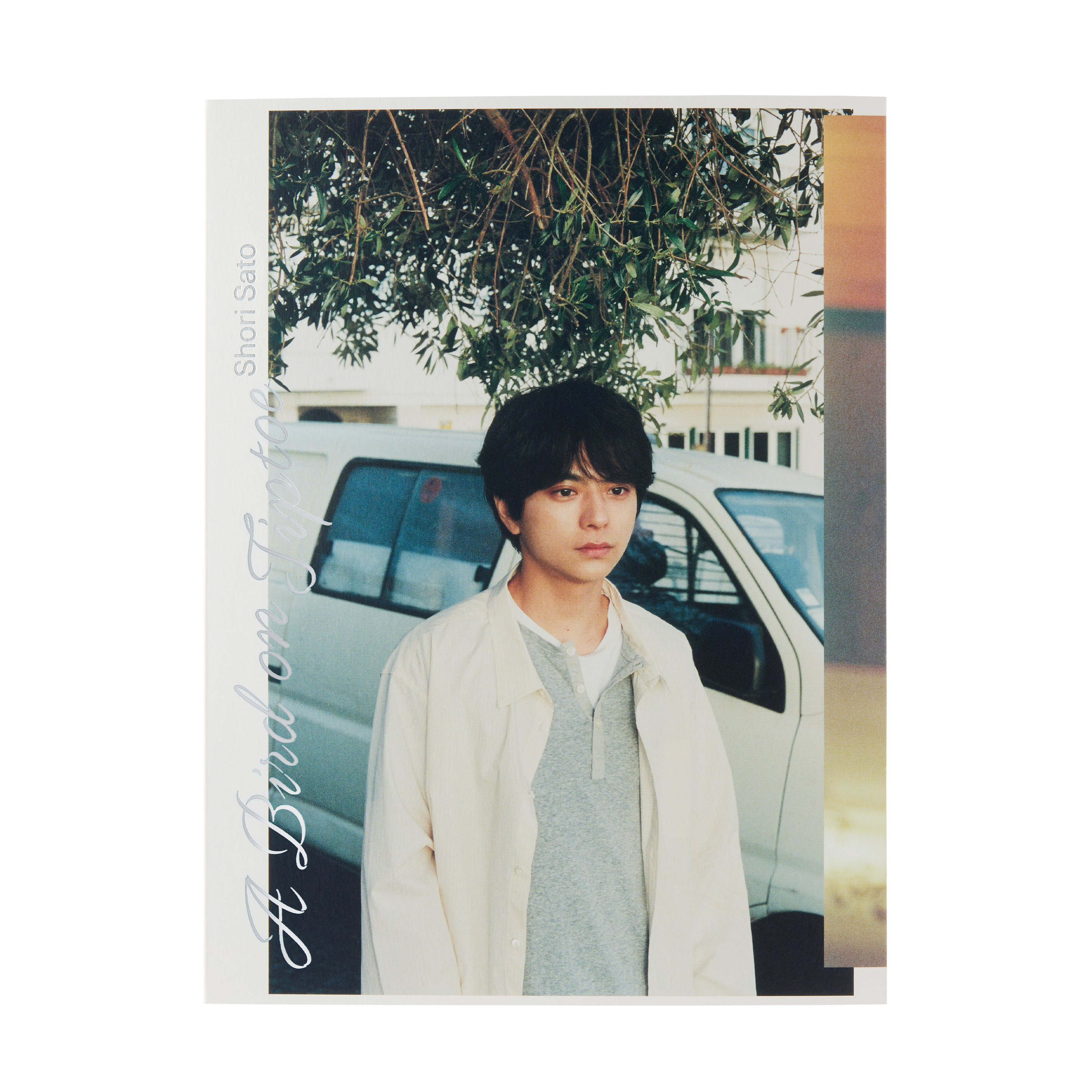 timelesz 佐藤勝利さんの1st写真集 A Bird on Tiptoe 書影