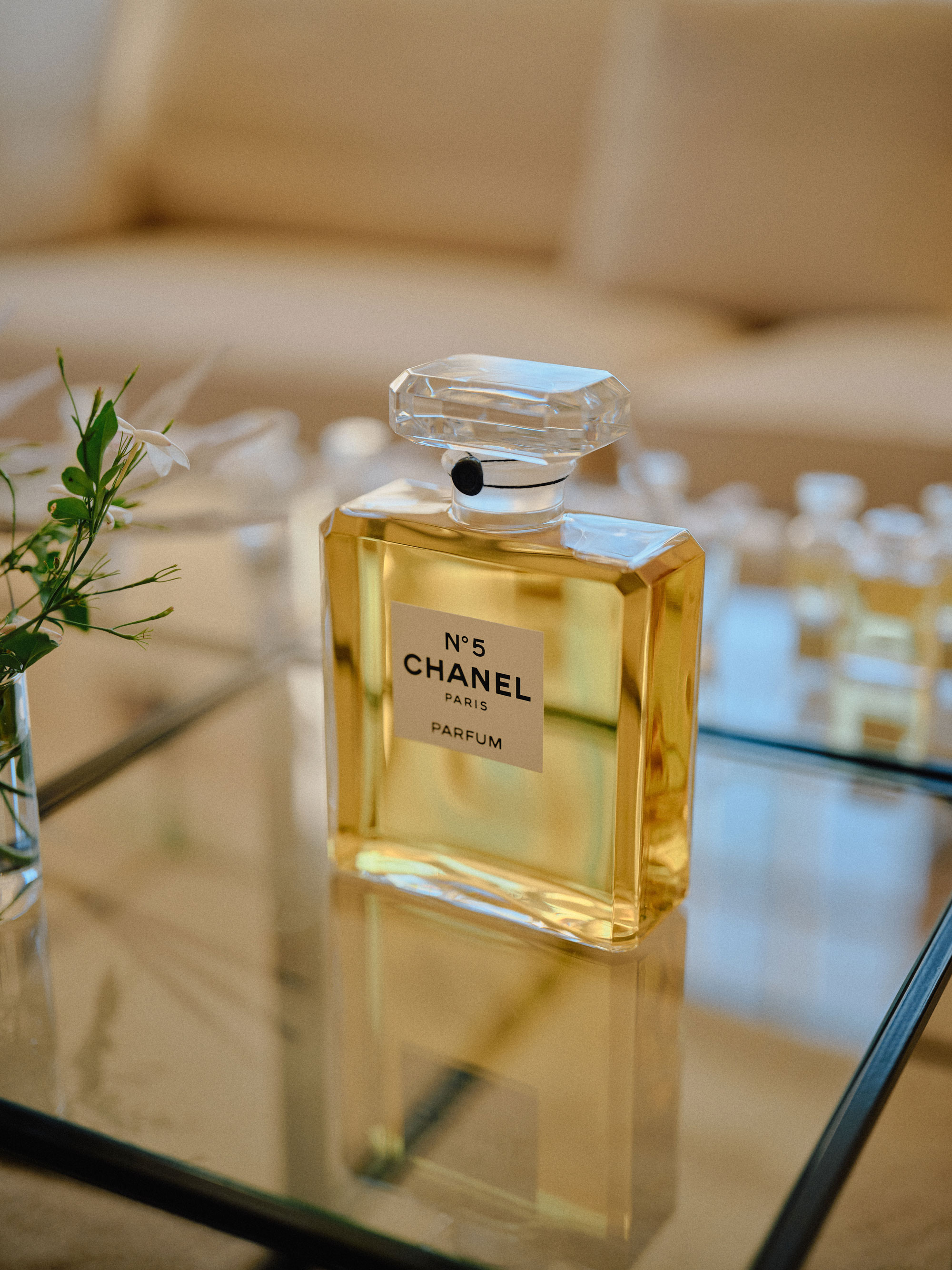 シャネル Ｎ°５　グラース　香水　ジャスミンの香り