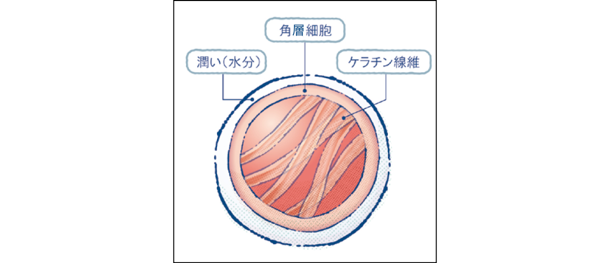 秋 新作 スキンケア est エスト ザ エマルジョン EX ザ ローション EX 細胞のミイラ化