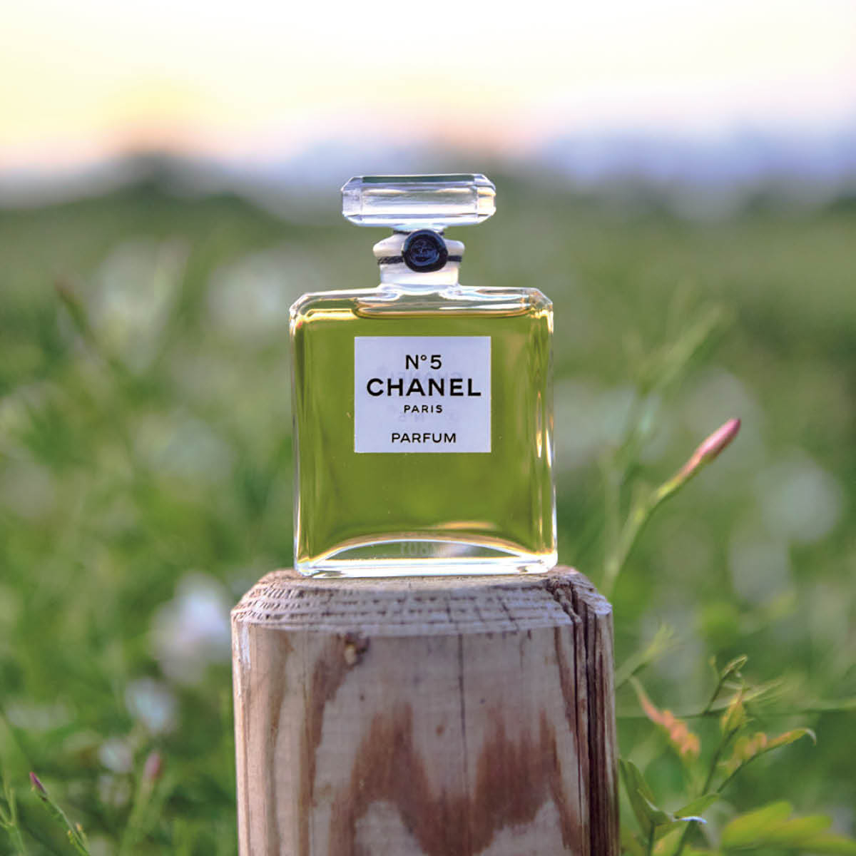 おすすめの香水・フレグランスGALLERY_1_1