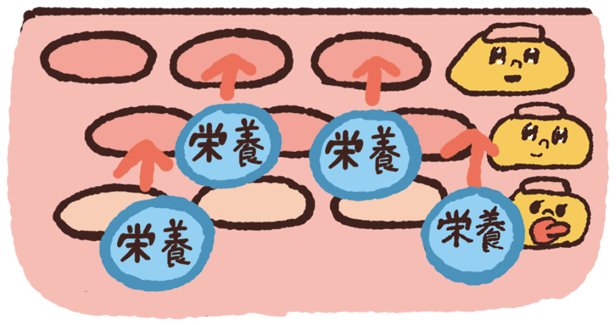 【最新】毛穴、角質ケアの最前線 PhotoGallery_1_1