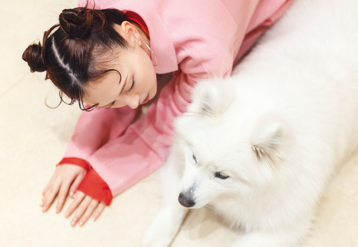 鈴木えみさん×サモエドカフェ PhotoGallery_1_1