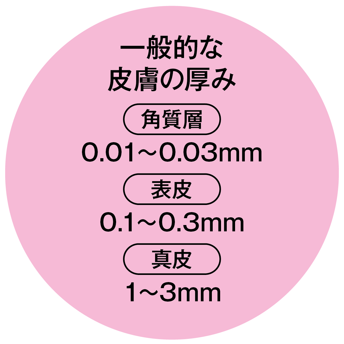 【友利新先生が解説】薄肌の真実 PhotoGallery_1_1