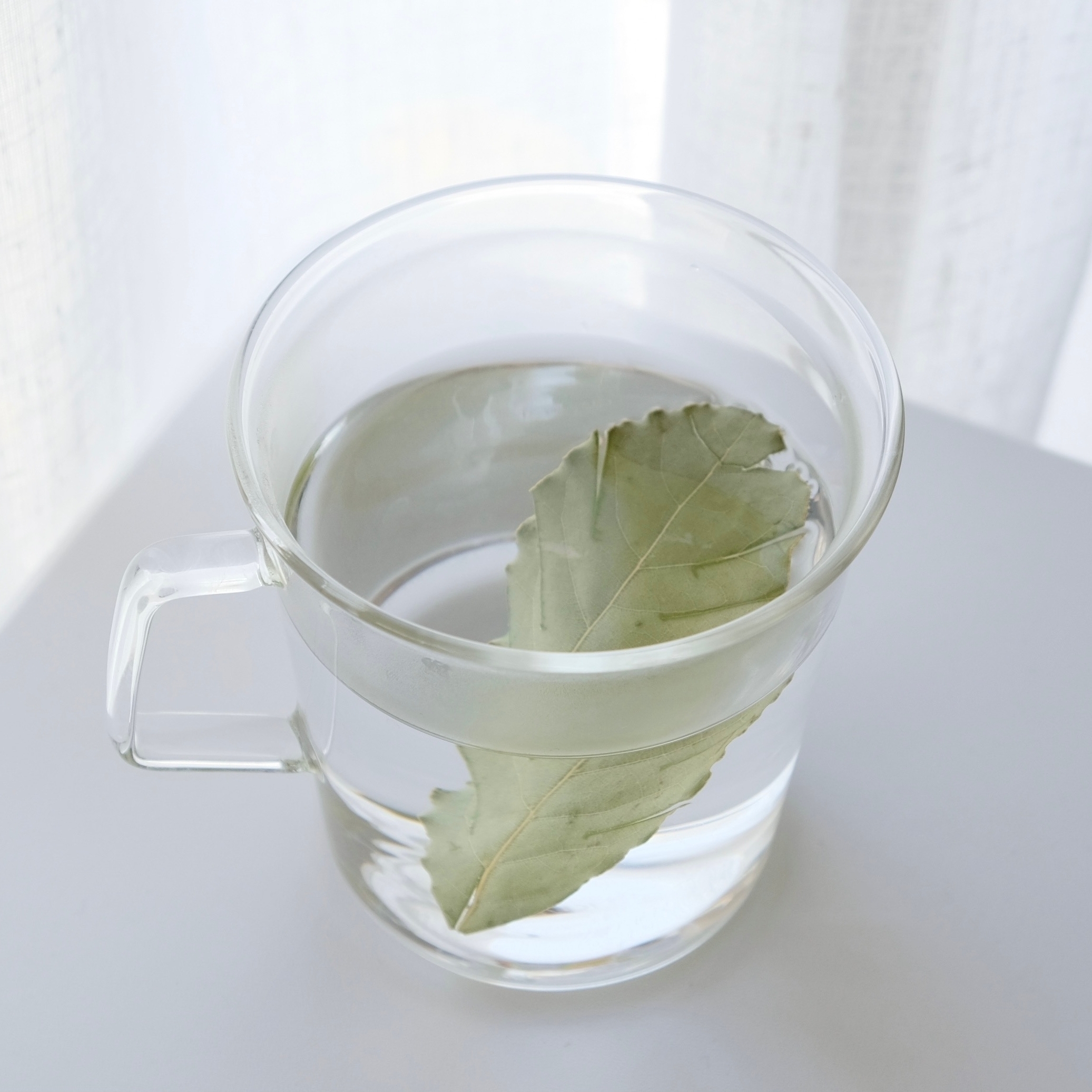 月桂樹（ローリエ）白湯