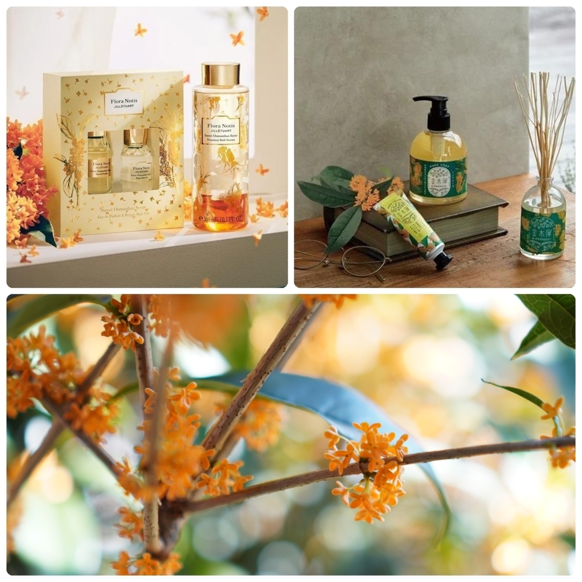 金木犀の香りGALLERY_1_1