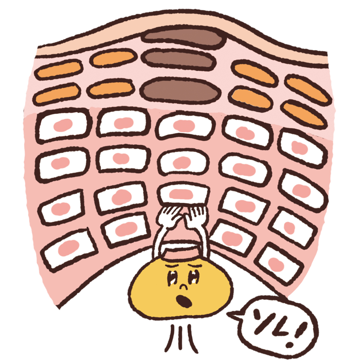 【最新】毛穴、角質ケアの最前線 PhotoGallery_1_1