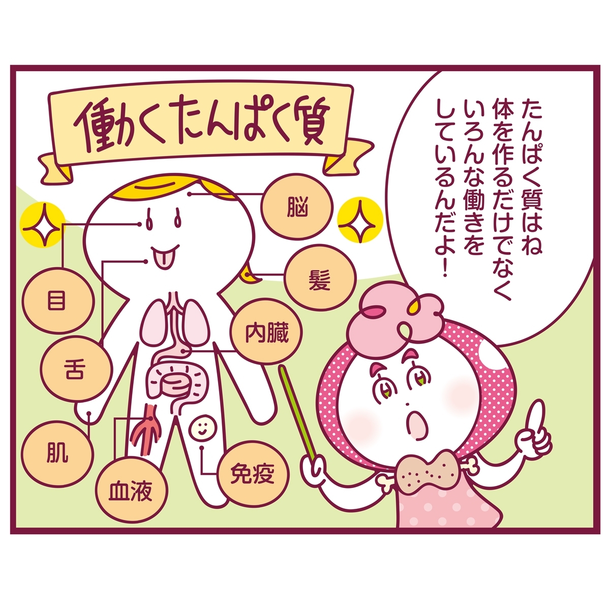 筋肉や美肌だけじゃない たんぱく質 って何がそんなにスゴイ Happy Plus One ハピプラワン