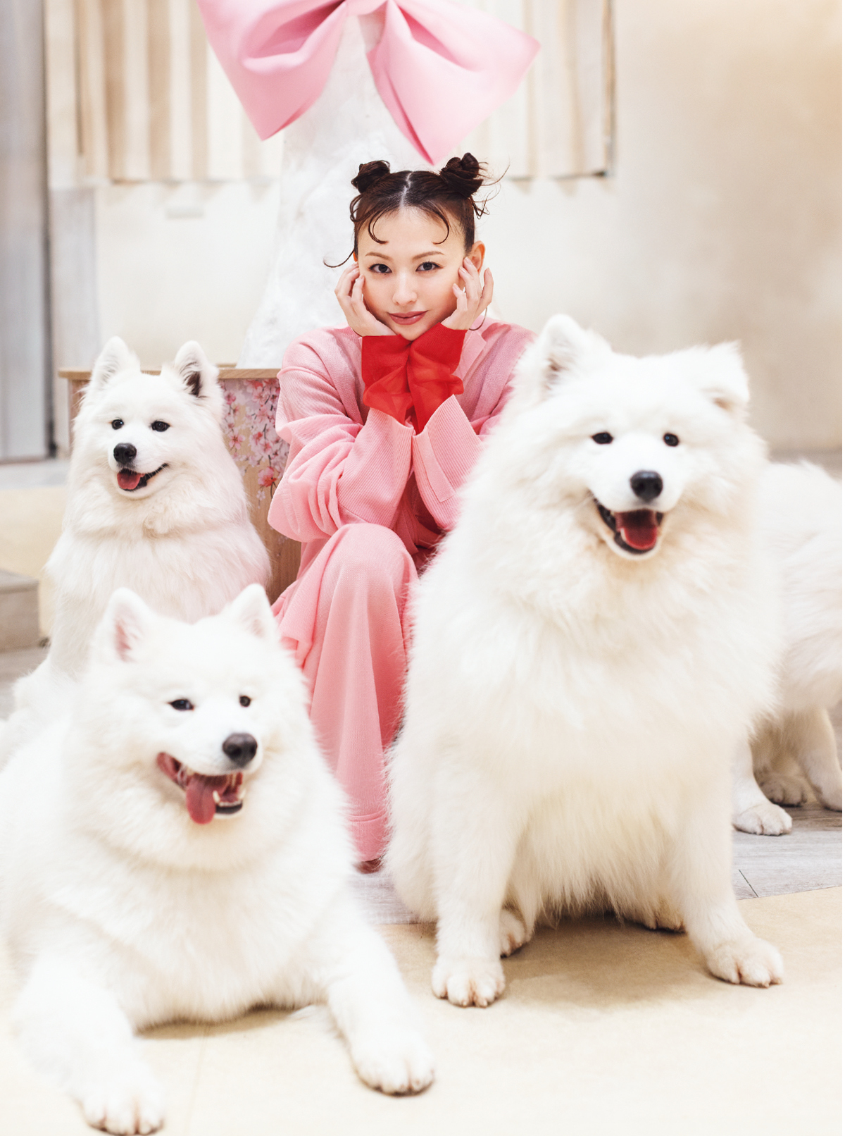 鈴木えみ、念願のサモエドカフェへ行く。ペースを合わせて心が通う、動物との向き合い方