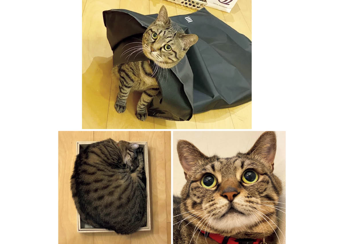 中野明海さん直伝！多幸感メイクの秘密 PhotoGallery_1_1