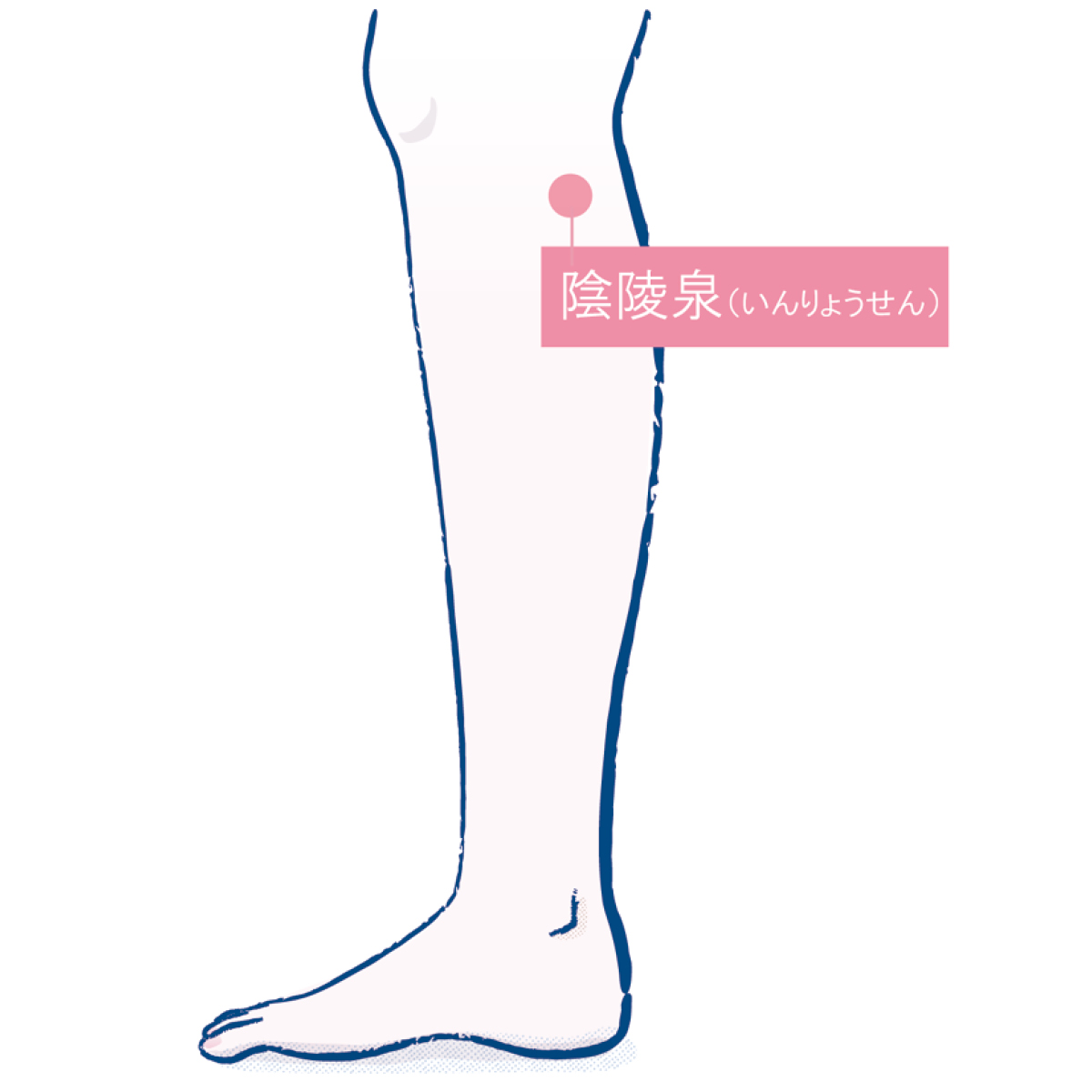 目指せ、日々快調！湿気とのつき合い方 PhotoGallery_1_1