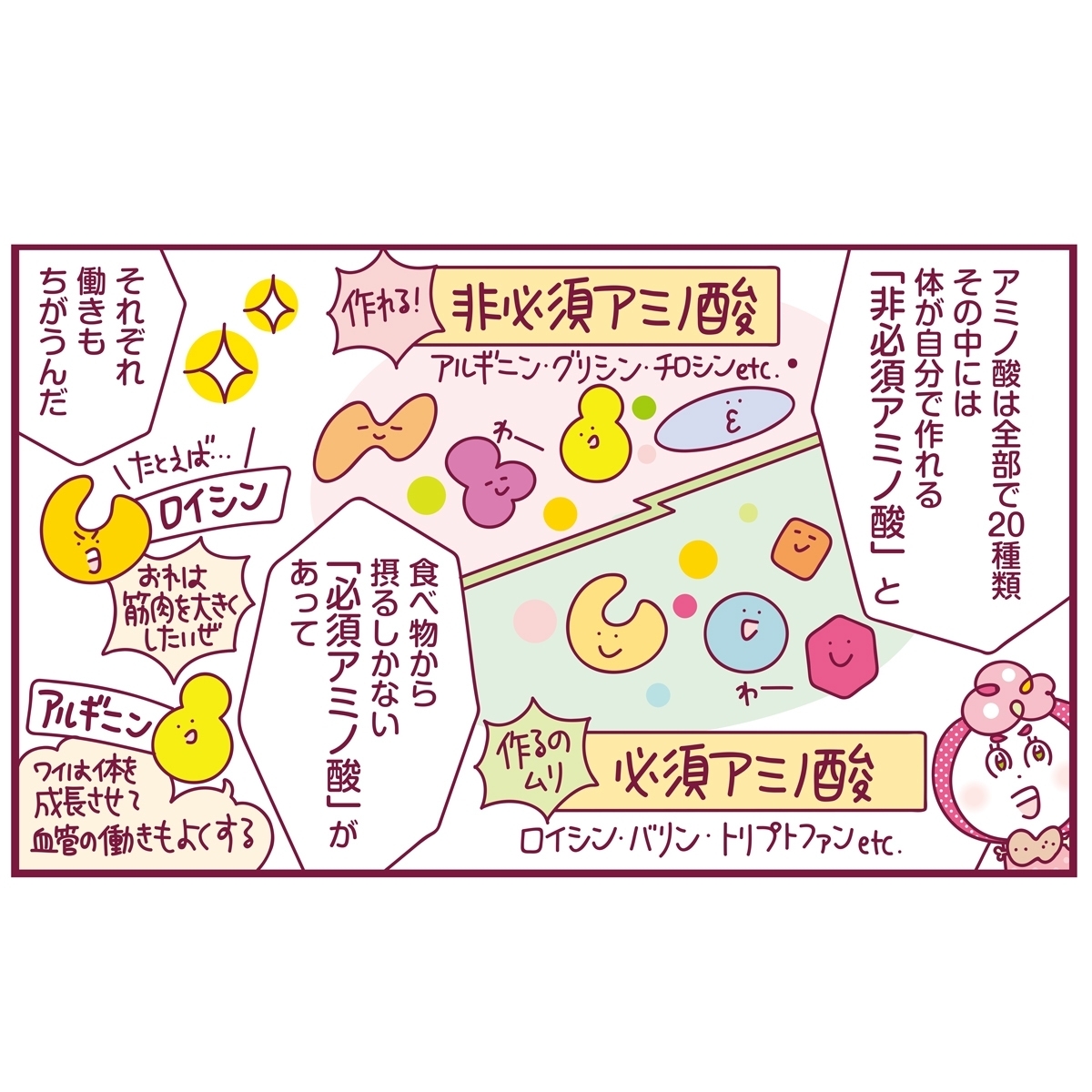 いまこそ積極的に摂るべき たんぱく質 の基本をわかりやすく解説 Happy Plus ハピプラ