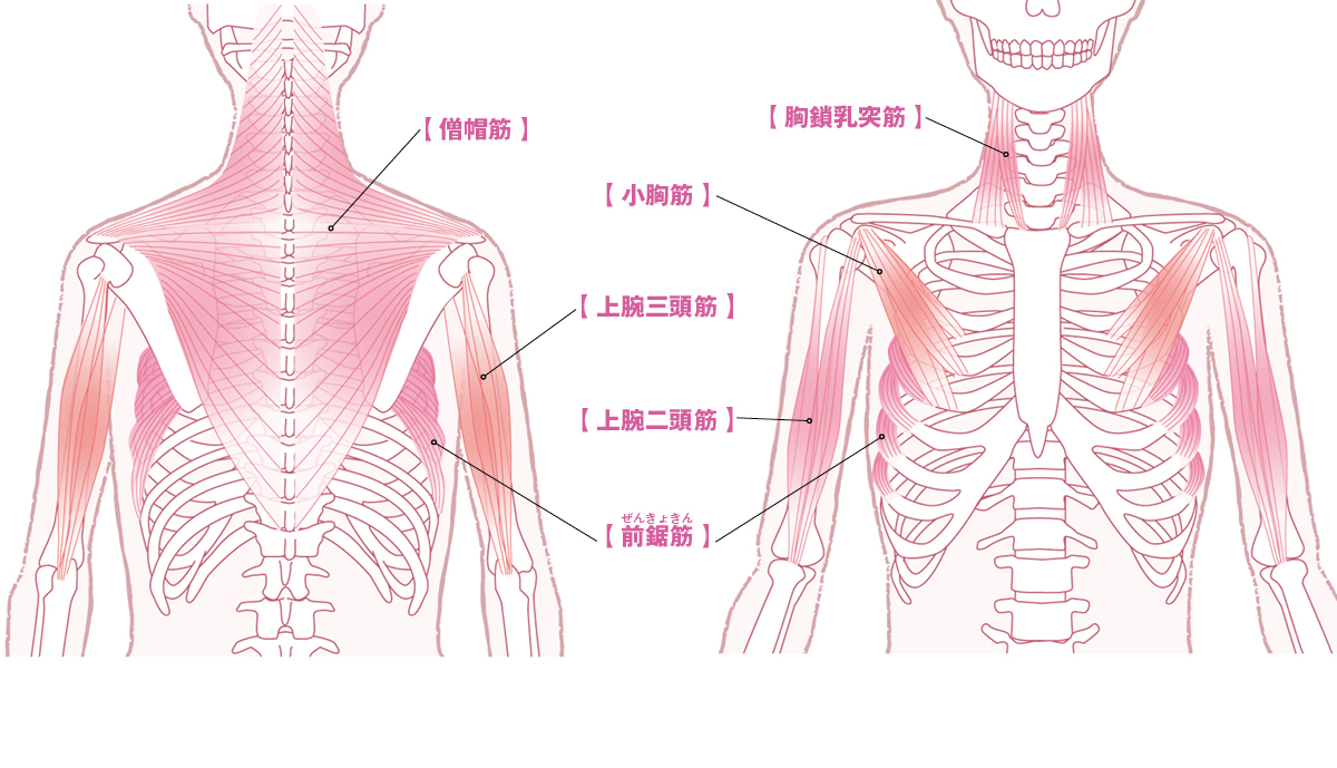 神崎 恵さんの美首&美肩メソッド PhotoGallery_1_1