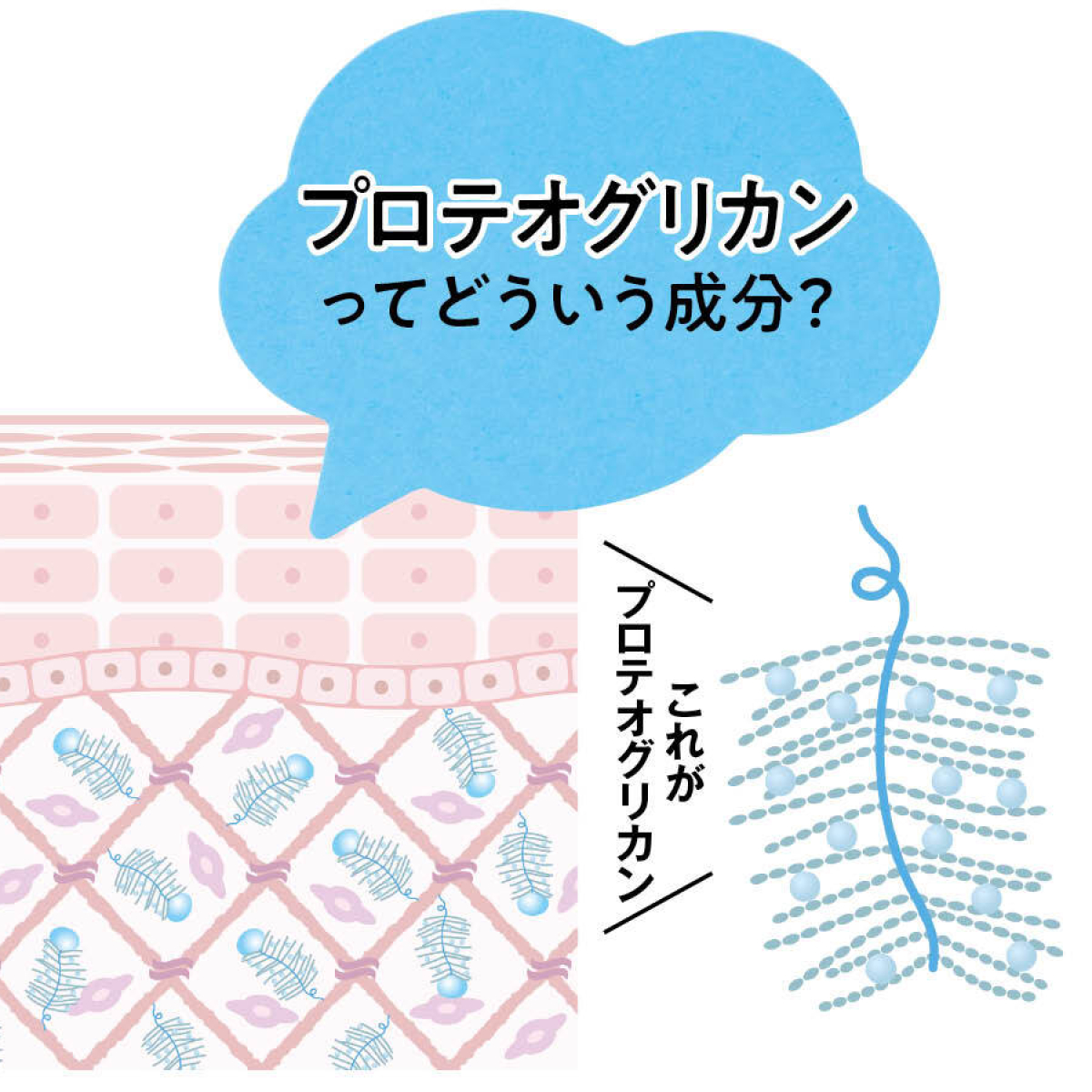 【エイジングケア】GALLERY_1_1