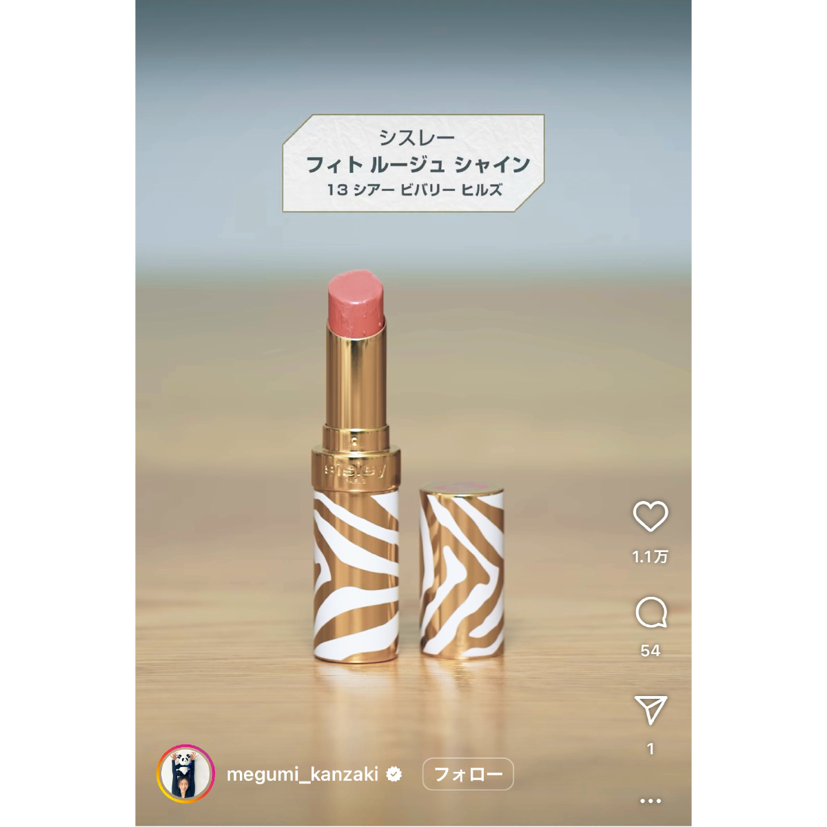 神崎 恵さんのこれ いいよ図鑑のインスタ画面 シスレー