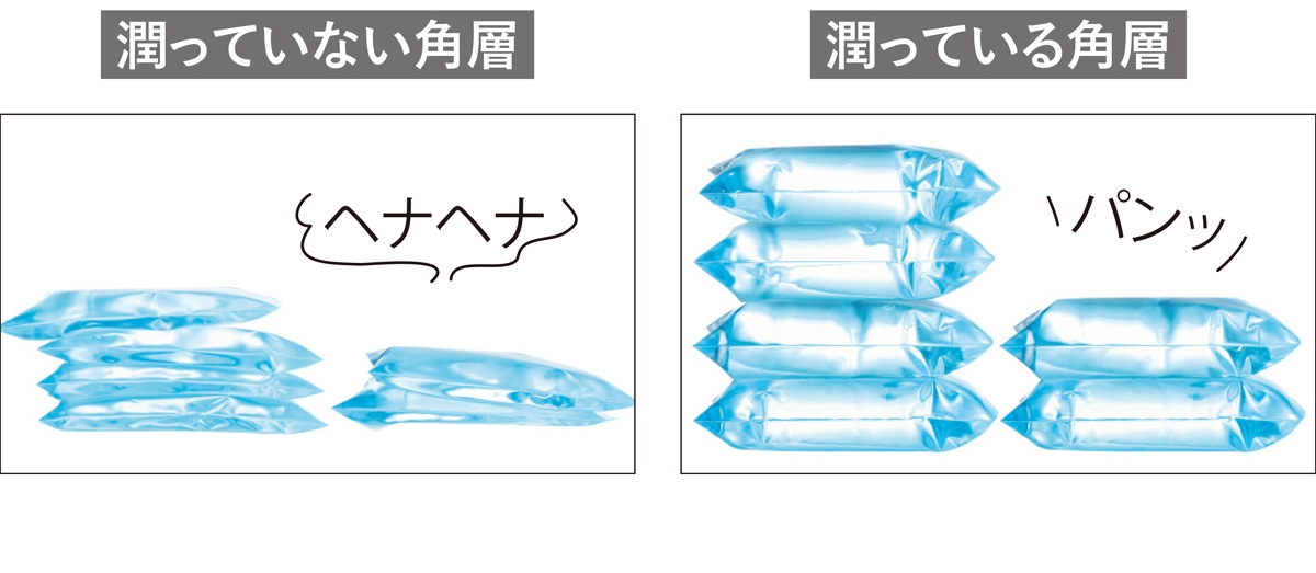 【実験5】角層が潤っているとハリが出る
