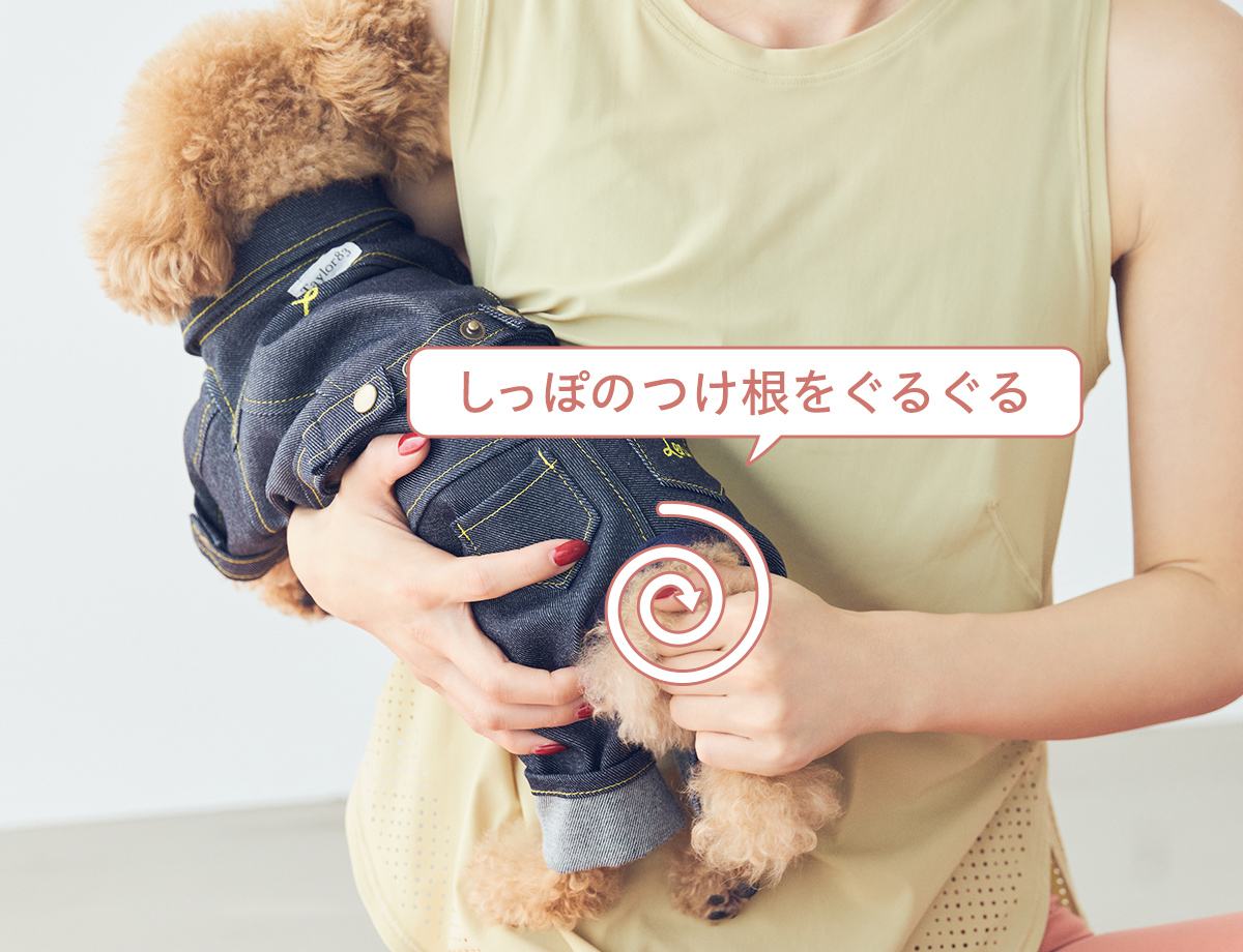 ドッグマッサージ　神経が集中しているしっぽのつけ根をマッサージ