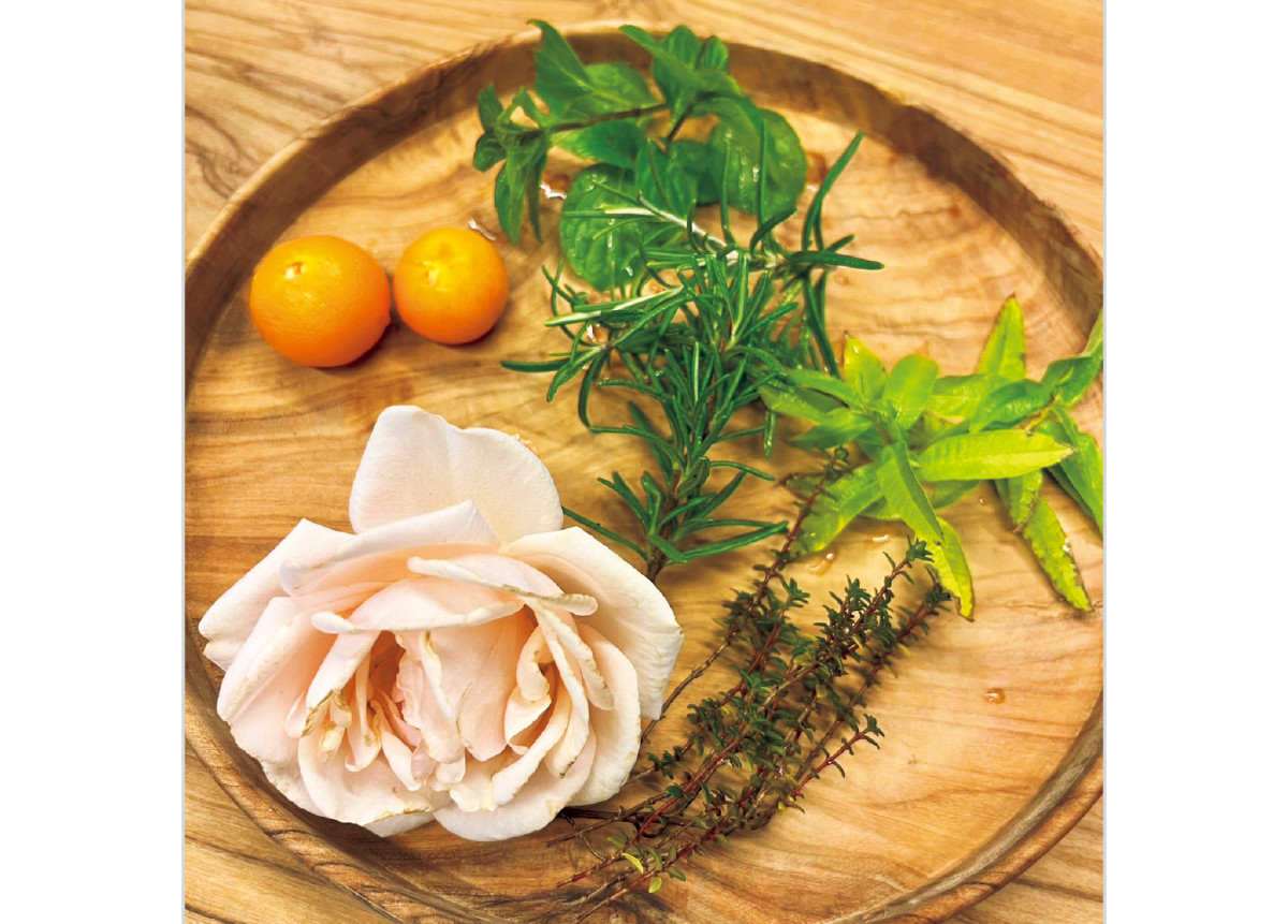 美の競演！ 鈴木えみさん×Kōki,さん PhotoGallery_1_1