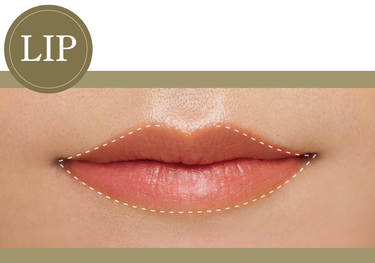 ナチュラルタイプ 骨格診断 骨格タイプ メイク