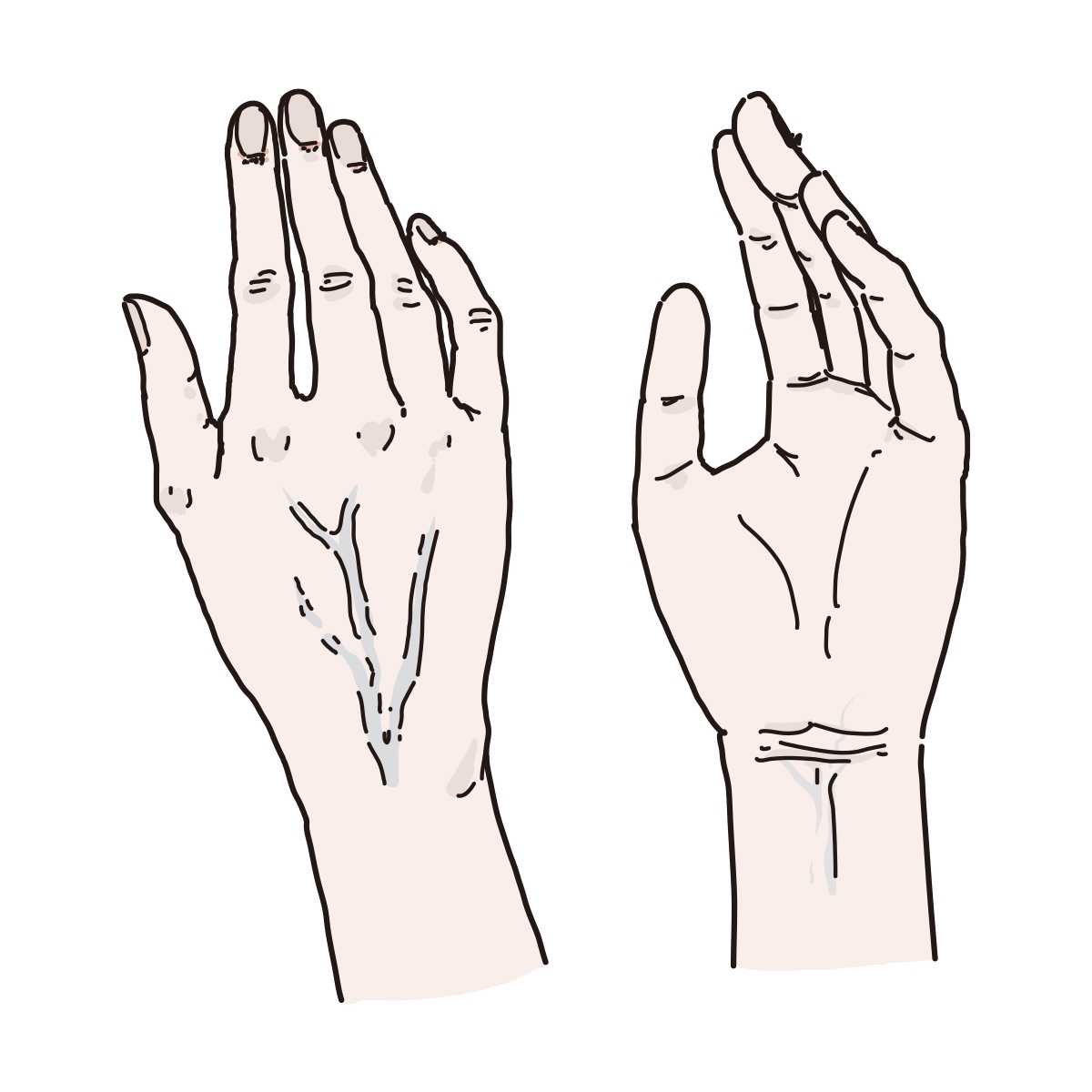 手のエイジング乾燥ふしくれ血管浮き