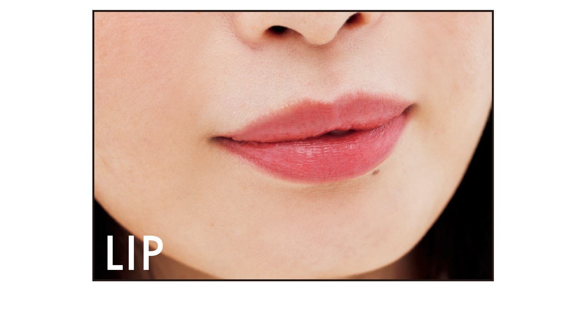 LIP