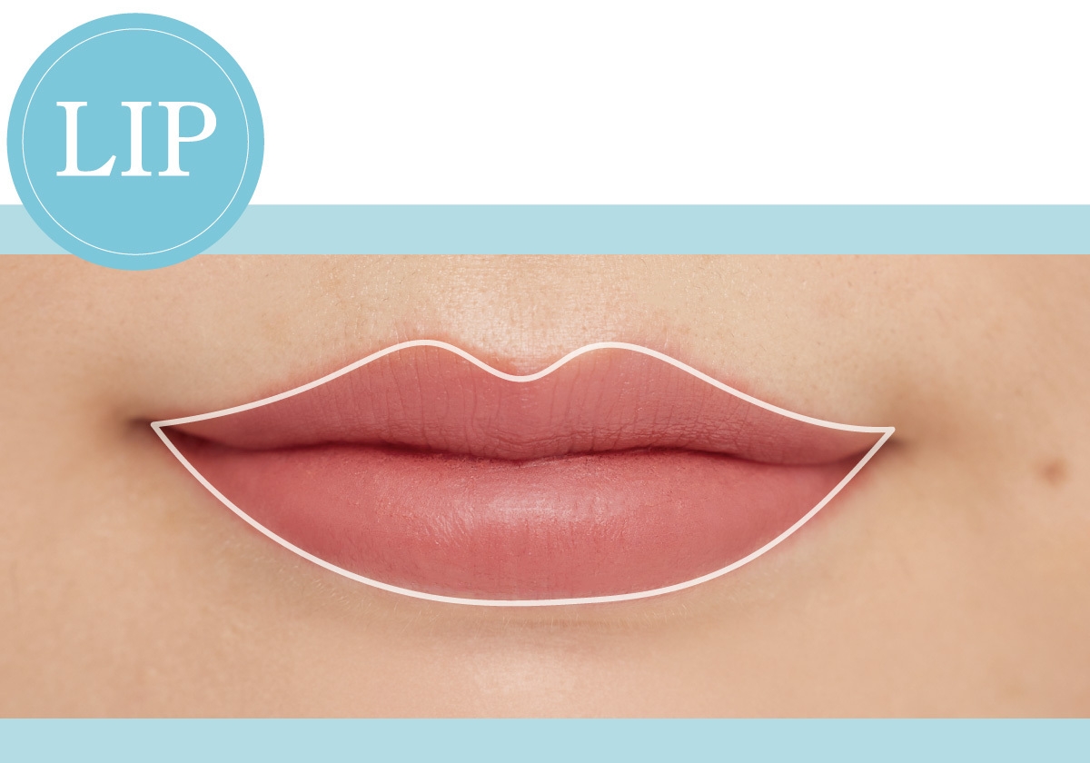 ストレートタイプ 骨格診断 骨格タイプ メイク