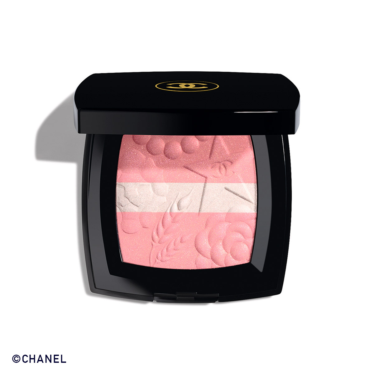 シャネル レ シーニュ ドゥ シャネル_997