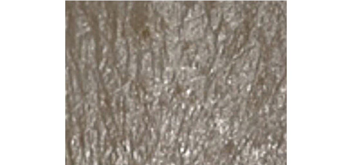 【夏の冷スキンケア】朝・昼・夜におすすめのスキンケアアイテム PhotoGallery_1_1