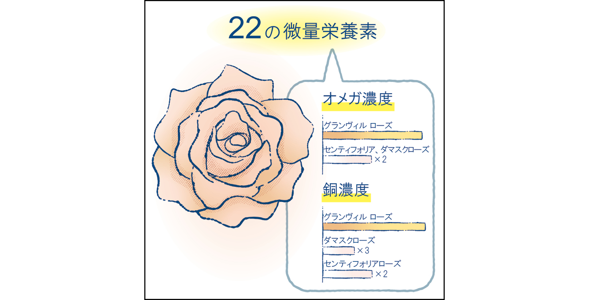 マキア　エイジングケア　おすすめ　DIOR ディオール プレステージ マイクロ セラム ユー ローズ オメガと銅