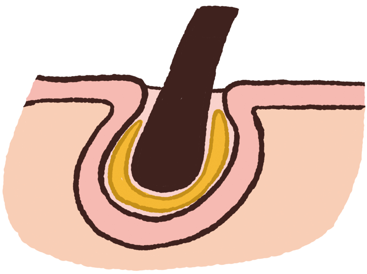 【最新】毛穴、角質ケアの最前線 PhotoGallery_1_1