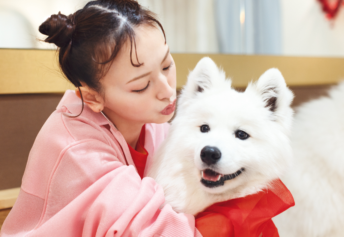 鈴木えみさん×サモエドカフェ PhotoGallery_1_1