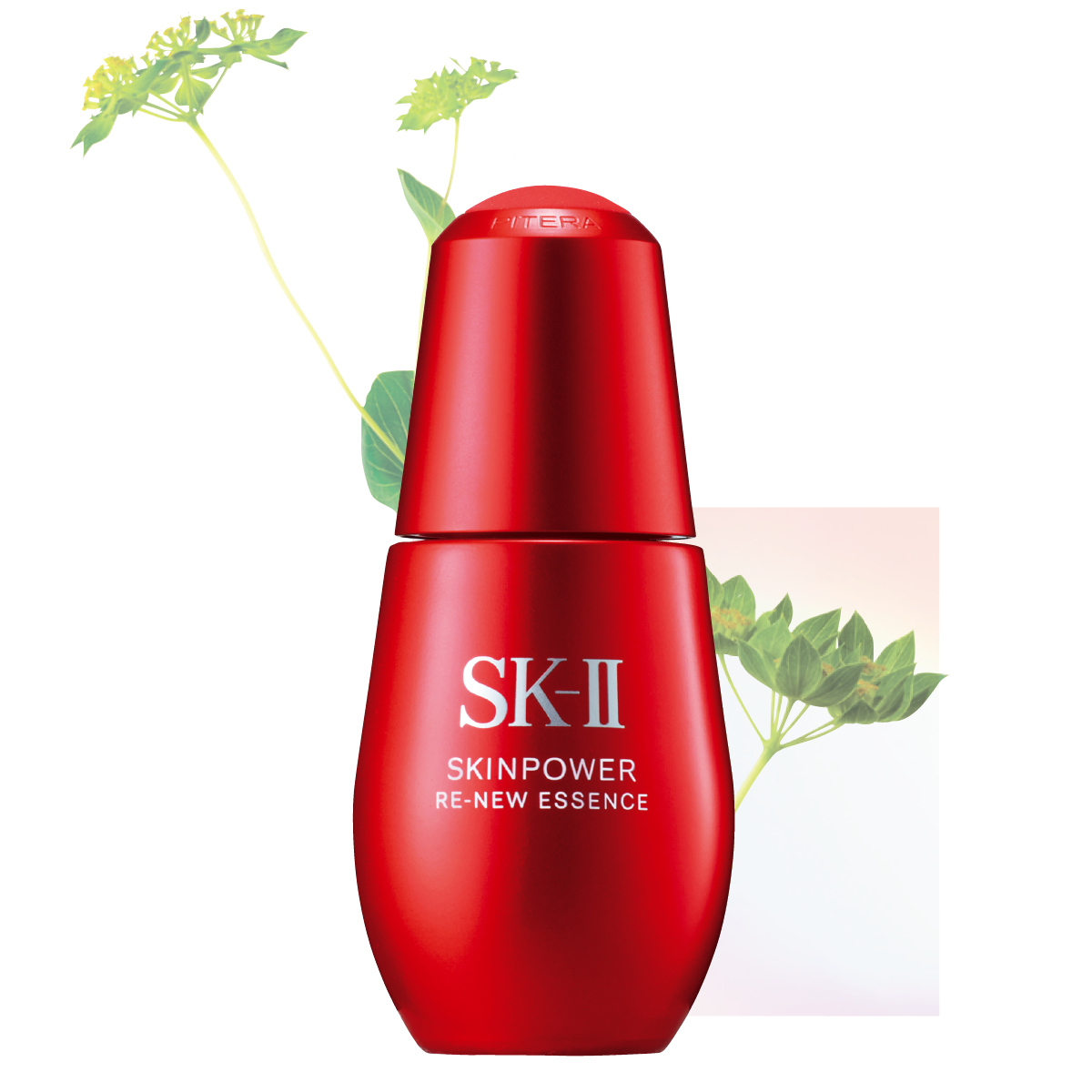 【MAQUIA 2021下半期ベストコスメ】GALLERY_1_1