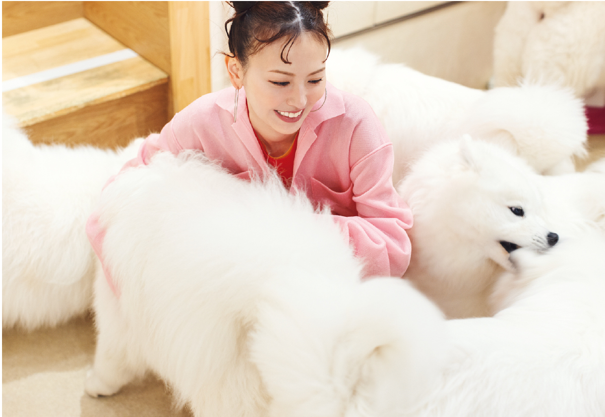 鈴木えみさん×サモエドカフェ PhotoGallery_1_1
