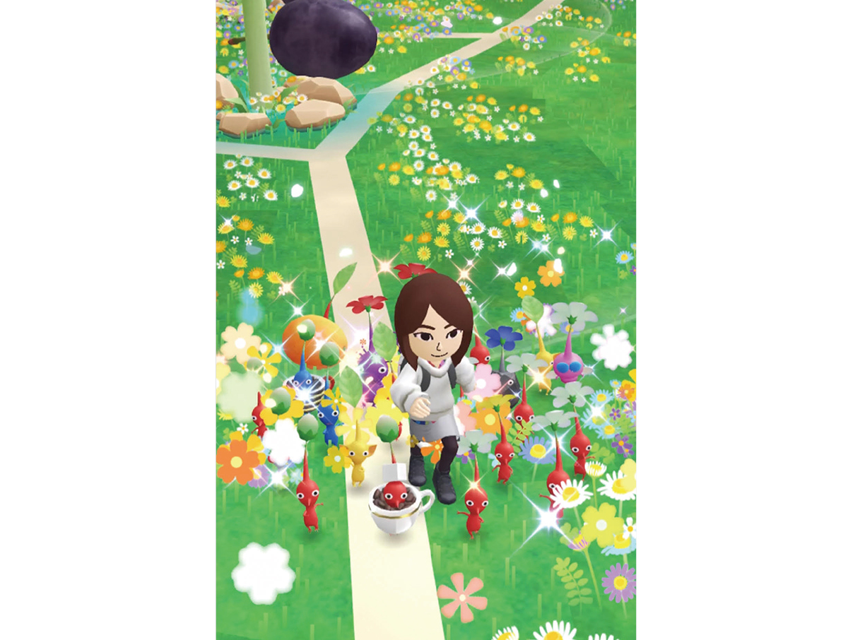 美のプロがレポート！ 本当に効いたダイエット PhotoGallery_1_1