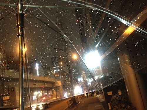 大雨が降る様子