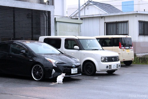 事故車が駐車している様子