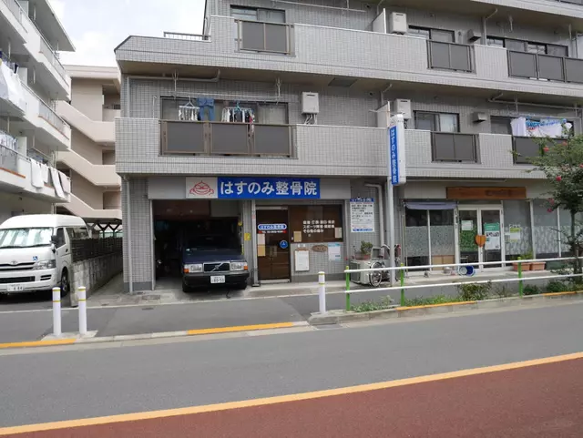 はすのみ整骨院