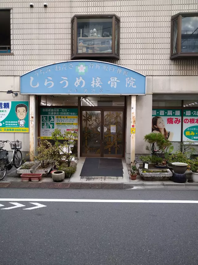 しらうめ接骨院