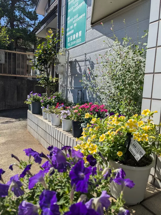 吉田接骨院