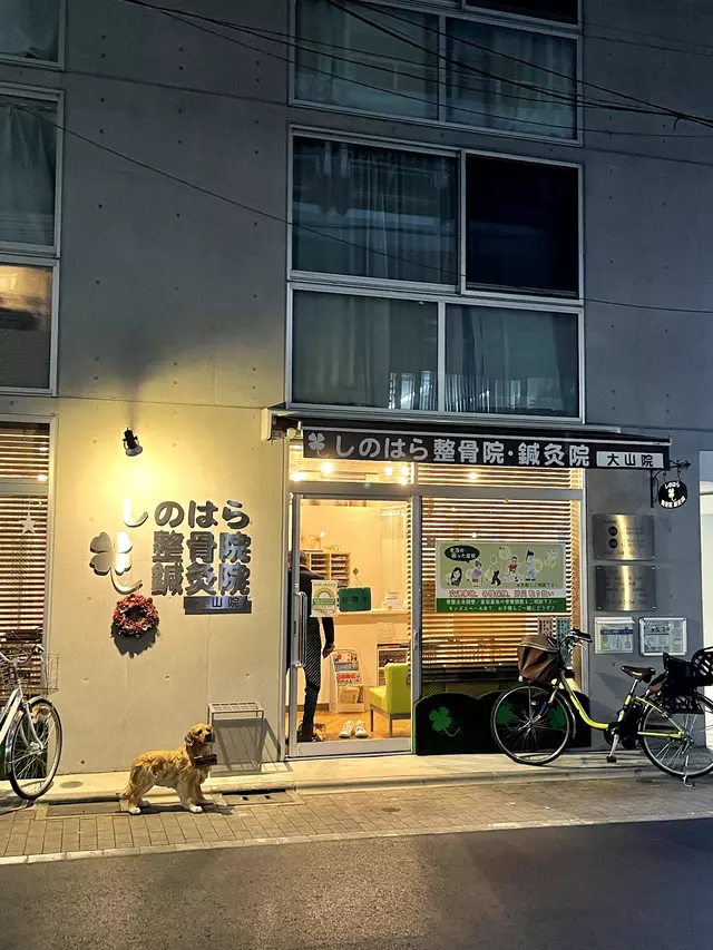 しのはら整骨院・鍼灸院大山院