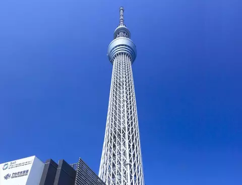東京鍼灸マッサージ協同組合