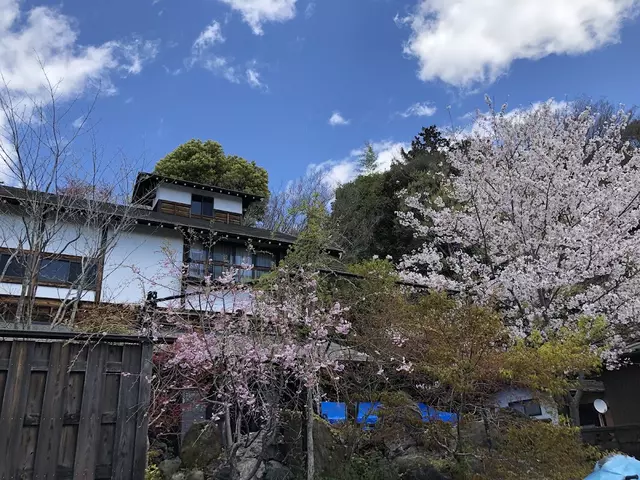 裏通り整骨院